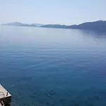 Odiseja Slano
